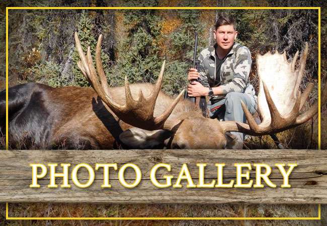 Photo Gallery