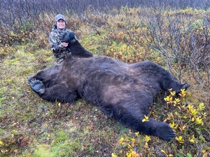 Fall Brown Bear Hunts